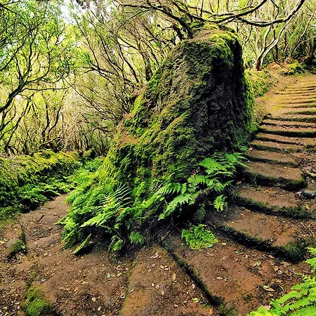 Prázdninový dům Casa Tenerife Las Galletas